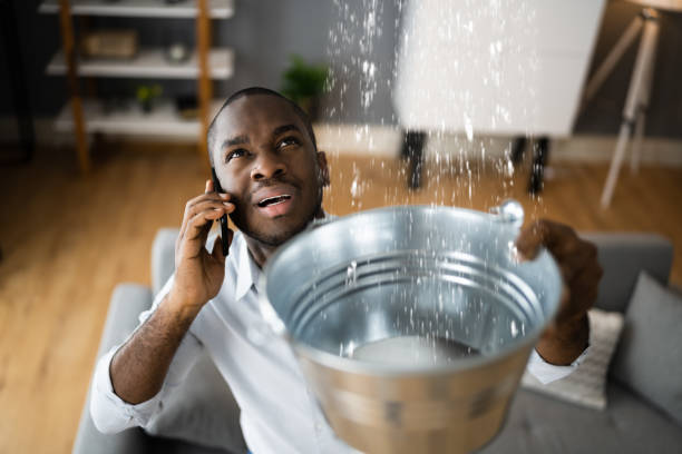 Best Flood damage cleanup  in Sackets Harbor, NY