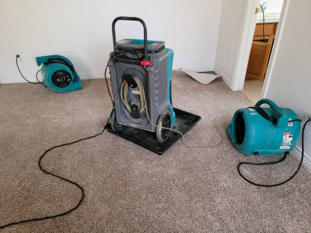 Best Commercial water damage restoration  in Sackets Harbor, NY