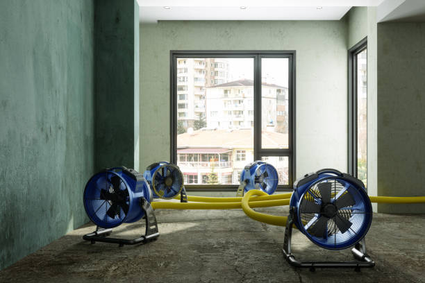 Best Commercial water damage restoration  in Sackets Harbor, NY